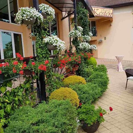 Kesten Futog Exterior photo
