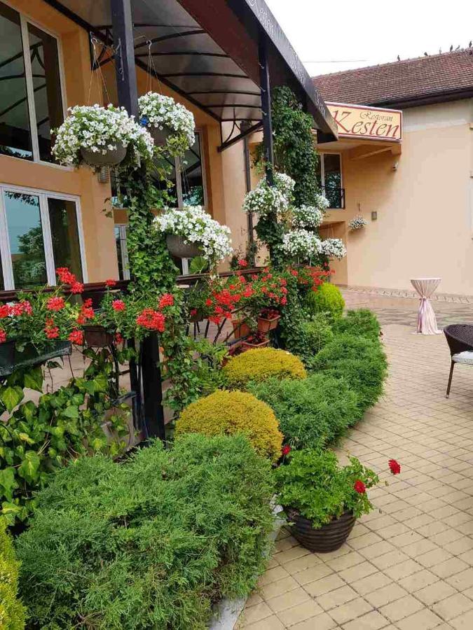 Kesten Futog Exterior photo